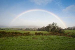Rain Bow Prints: Rainbow over upland pasture, Whitewell, Lancashire, England, january