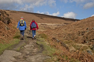 Erosion Prints: Two ramblers, walking on eroded path in upland habitat