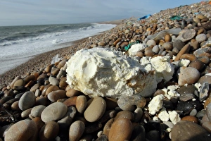 Rancid vegetable oil washed up on beach, Chesil Beach, Dorset, England, February