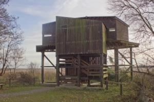 Hides Prints: Rear view of Bittern Hide, Minsmere RSPB Reserve, Suffolk, England, november