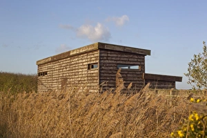 Hides Prints: Rear view of South Hide, Minsmere RSPB Reserve, Suffolk, England, november