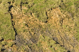 Slopes Prints: Recent landslip, near Chapmans Pool, Dorset, England, november