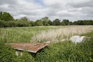 Recently purchased land for fen habitat restoration project, Little Ouse Headwaters Project, Webbs Fen, Thelnetham