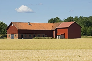 Red barn beside arable field, Sweden
