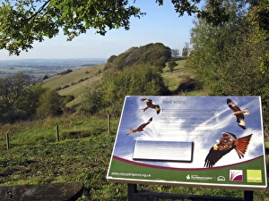 Boards Prints: Red Kites information board at reintroduction site