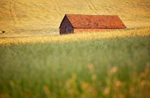 Sun Light Prints: Red stone built barn in hay meadow