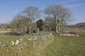 Cemeteries Prints: Redundant rural church and cemetery, St