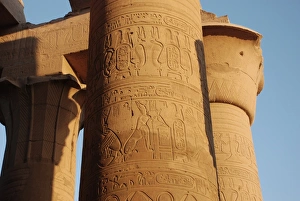 Columns Prints: Reliefs on column, Outer Hypostyle Hall, Temple of Kom Ombo, Kom Ombo, Egypt, january