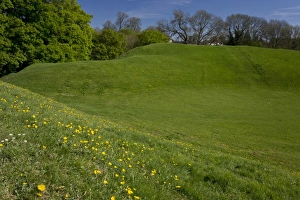 Site Prints: Remains of 2nd century AD Roman amphitheatre