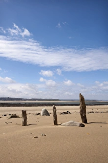 Defence Prints: Remains of wooden groynes of tidal defence on beach
