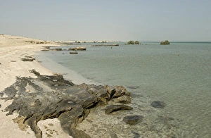 Wild Prints: Remote beach with rocks, sand and sea at high water