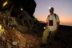Studying Prints: Researchers exploring desert during night survey, Socotra, Yemen, march
