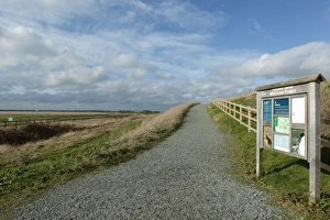 Environmental Prints: Reserve entrance sign and path in estuary marshland