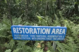 Philippines Prints: Restoration Area sign in forest, restoration through natural regeneration