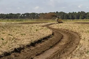 Foot Prints: The restoration and creation of wetland habitats on the Holkham Estate for wading birds and waterfowl