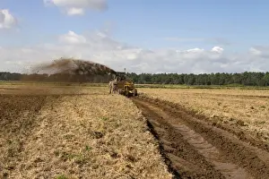 The restoration and creation of wetland habitats on the Holkham Estate for wading birds and waterfowl