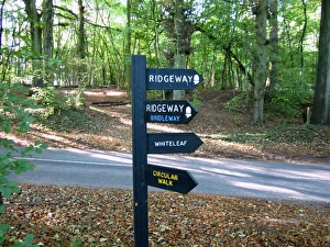 Directions Prints: Ridgeway, Whiteleaf and Circular Walk signs on signpost