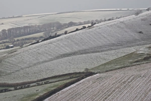 Frosted Prints: Rime frost, on hillside in rural landscape, Dorset, England, december