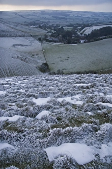 Rime frost, on hillside in rural landscape, Dorset, England, december