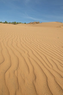 : Ripples on coastal sand dunes, Phan Thiet, Binh Thuan Province, Vietnam, December