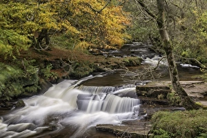 Powys Prints: River and cascades in woodland, Neddau Falls, Brecon Beacons N. P. Mid Wales, October