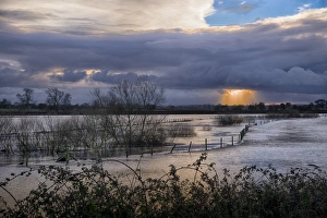 Flood Prints: River flooding farmland, River Nidd, Hammerton, North Yorkshire, England, November 2012