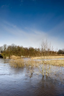 Flood Prints: River flooding, River Nidd, Nidderdale, Yorkshire Dales, North Yorkshire, England, January