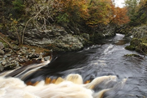 Cascade Prints: River flowing through wooded gorge habitat
