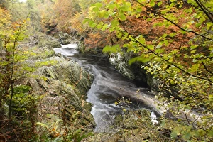 River flowing through wooded gorge habitat, Rocks of Solitude, River North Esk, near Edzell, Angus, Scotland, october