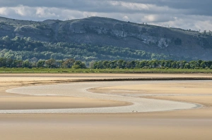 Sandy Prints: River meandering through sands of estuary at low tide