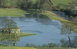 Flood Prints: River in normal winter flood, flooding upland farmland