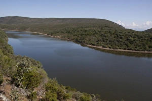 Monfrague Prints: the River Tagus, Extremadura, spain