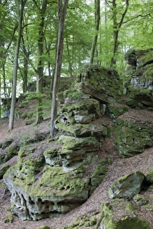 Rock formations in deciduous forest habitat, German Luxembourgian Nature Park, Rhineland-Palatinate, Germany, may