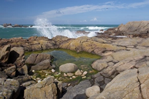 Pool Prints: Rockpool and waves on rocky shore at low tide, Jersey, Channel Islands, May