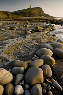 Stones Prints: Rocks and rockpool habitat at low tide