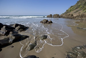 Wild Coast Prints: Rocky beach below cliffs, Port St