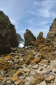 Cape Prints: Rocky coastal habitat, Featherbed Nature Reserve, Knysna, Western Cape, South Africa