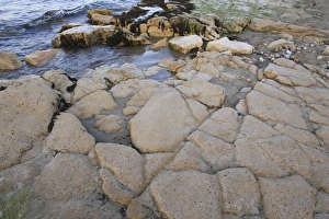 The Solent Prints: Rocky outcrop on beach with incoming tide at sunset