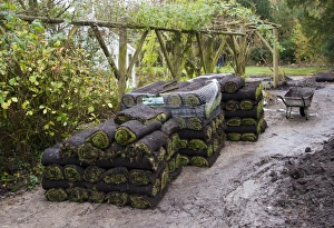 Laying Prints: Rolls of lawn turf for laying in garden, England, october