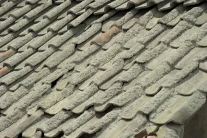 Javan Prints: Roof tiles covered with ash, from recent volcanic eruption