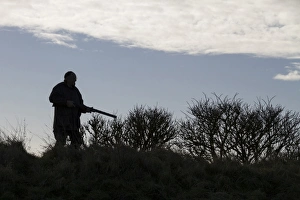Game Prints: Rough shooting with a 12 bore shotgun