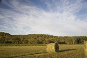 Forested Prints: Round bale of hay on meadow, with wooded hillside in background