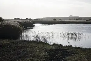 Station Prints: RSPB Minsmere looking south from Island Mere Hide towards Sizewell nuclear power station