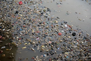 Environmental Prints: Rubbish floating on river in city, Manggarai District, Jakarta, Java, Indonesia, December