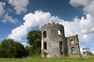 Ruined Prints: Ruined castle tower on shore of Lough Neagh
