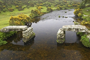 Moor Land Prints: Ruined clapper bridge over river, East Dart River, Dartmoor N. P. Devon, England
