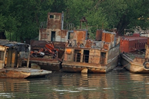 Rumania Prints: Rusting boats at edge of river, Tulcea, River Danube, Danube Delta, Dobrogea, Romania, may