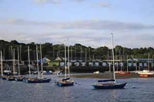 Sailing boats moored in harbour with incoming tide at dawn, Bembridge Harbour, Bembridge, Wight, England, june