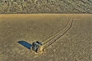 Stones Prints: Sailing stones geological phenomenon of rocks moving along tracks on valley floor