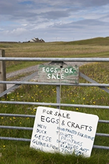 Gates Prints: For Sale, Eggs and Crafts sign on farm gate